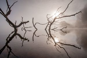 Products: Lake Tutira