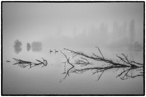 Lake Karapiro
