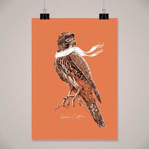 Wall Art: Karearea Wall Art