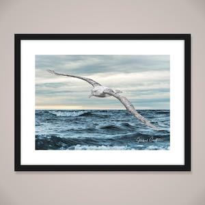 Wall Art Birds Animals: Toroa Scenic Wall Art