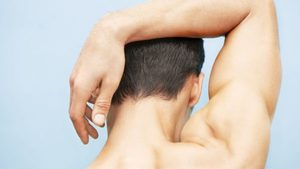 Neck - Gloucester Cottage