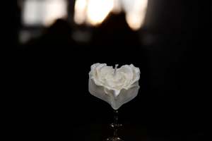 Candles: Heart of Roses