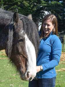 Cardis Hoodies Jerseys: Merino Half Zip Princess Cut Jersey