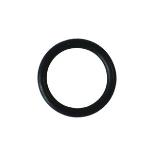 Products: Gloworm TX Remote O-Ring