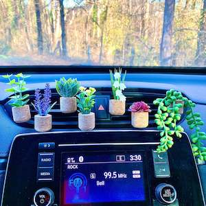 Creative Succulent Cactus Potted Decorative Ornaments