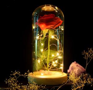 Home Improvement: Enchanted Forever Rose Flower In Glass LED Light Home Decoration