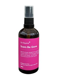 Scars Be Gone – Go Equine
