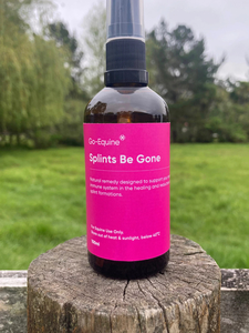 Splints Be Gone – Go Equine