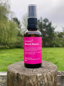 Products: Wound Repair – Go Equine