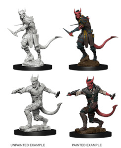 D&D Nolzurs Marvelous Unpainted Miniatures Tiefling Male Rogue