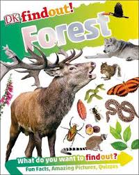 Paperback Books: DK Find Out!: Forest