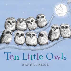 Puffin: Ten Little Owls
