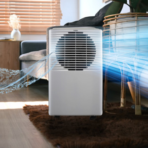 10L Electronic Dehumidifier
