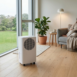 10L Electronic Dehumidifier