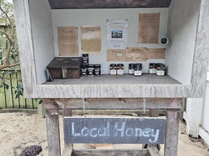 Honey cart purchase