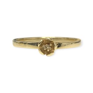 Products: Karen Walker Botanical Plain Ring in 9K Yellow Gold