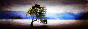 Products: That Wanaka Tree – GoldingArts
