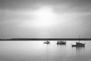 Products: The Last of the Fog – GoldingArts