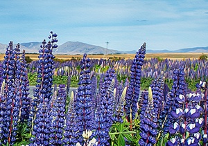 The Lupins – GoldingArts