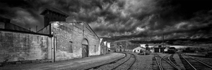 Behind the Sheds Panoramic – GoldingArts