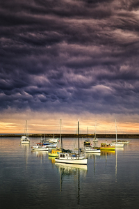 Products: The Coming Wind – GoldingArts