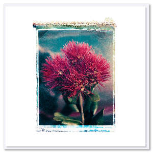 Greeting Cards: Christmas Pohutukawa 1 Polaroid Greeting Card