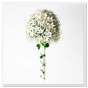 Stephanotis and Gypsophila Bouquet Greeting Card