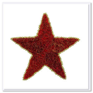 Christmas Cards: Pohutukawa Star Greeting Card