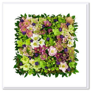 Greeting Cards: Helleborus Square Greeting Card