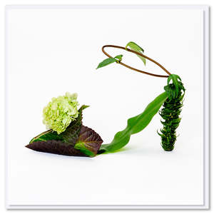 Greeting Cards: Hydrangea Shoe Greeting Card