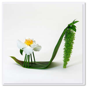 Greeting Cards: Camellia Stiletto Shoe Greeting Card