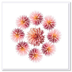 Pink Dahlia Circle Greeting Card