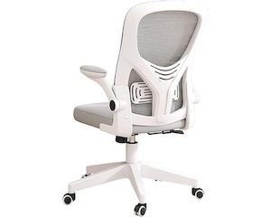 Computer: Office Chair