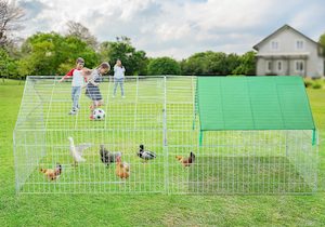 Pets: Chicken Coop Run Rabbit