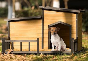 Dog House,Dog Kennel