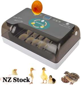 Automatic Egg Incubator