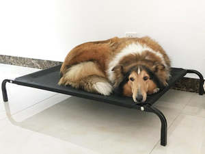 Pets: Detachable Pet Dog Hammock Bed 122cm - Black