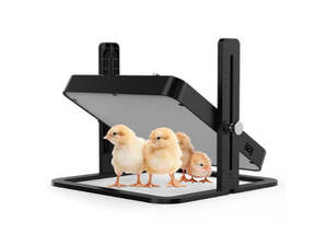 Pets: Chick Brooder Heater NZ | Adjustable Temp & Height for 15 Chicks