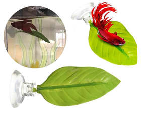 Pets: Betta Bed Leaf Hammock
