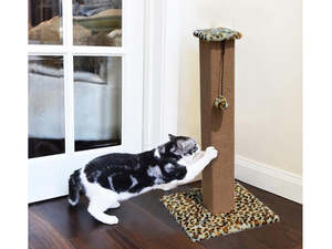Pets: Pet Cat Scratching Post