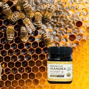 Products: Manuka Honey (MGO 263+) - Good Day Plus