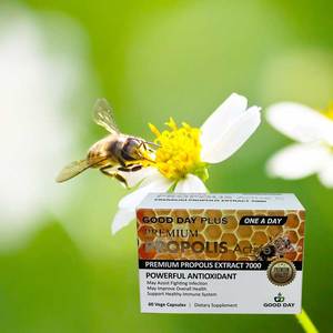 Products: PROPOLIS Active C - Good Day Plus