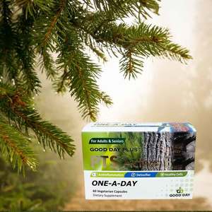 PTS Active B - Good Day Plus