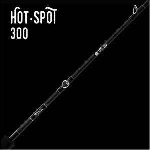 Products: Hotspot 300