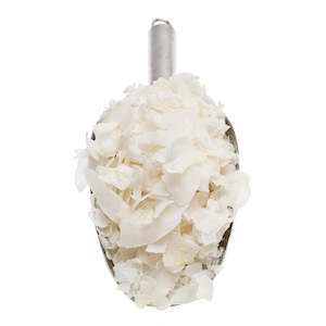 Dried Fruit: Coconut Chips - Organic