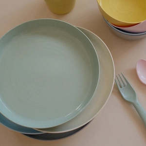 Toys Play: IKEA KALAS plate, mixed colours, 6 pack