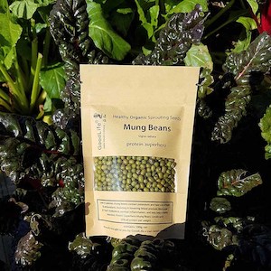 Sprout Ferment: Sprouting Seeds - Mung Beans 100grm