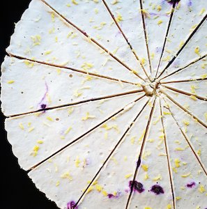 Seasonal Raw Cakes - Low Tin