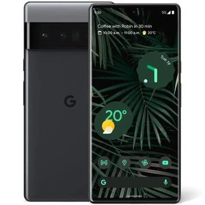 Pixel 6 Pro / 256GB / 2 - Very Good (Blurry Rear Camera) / Stormy Black