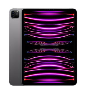 iPad Pro 11-inch (4th Gen) / Wi-Fi + Cellular / 256GB / 1 - Like New / Space Grey